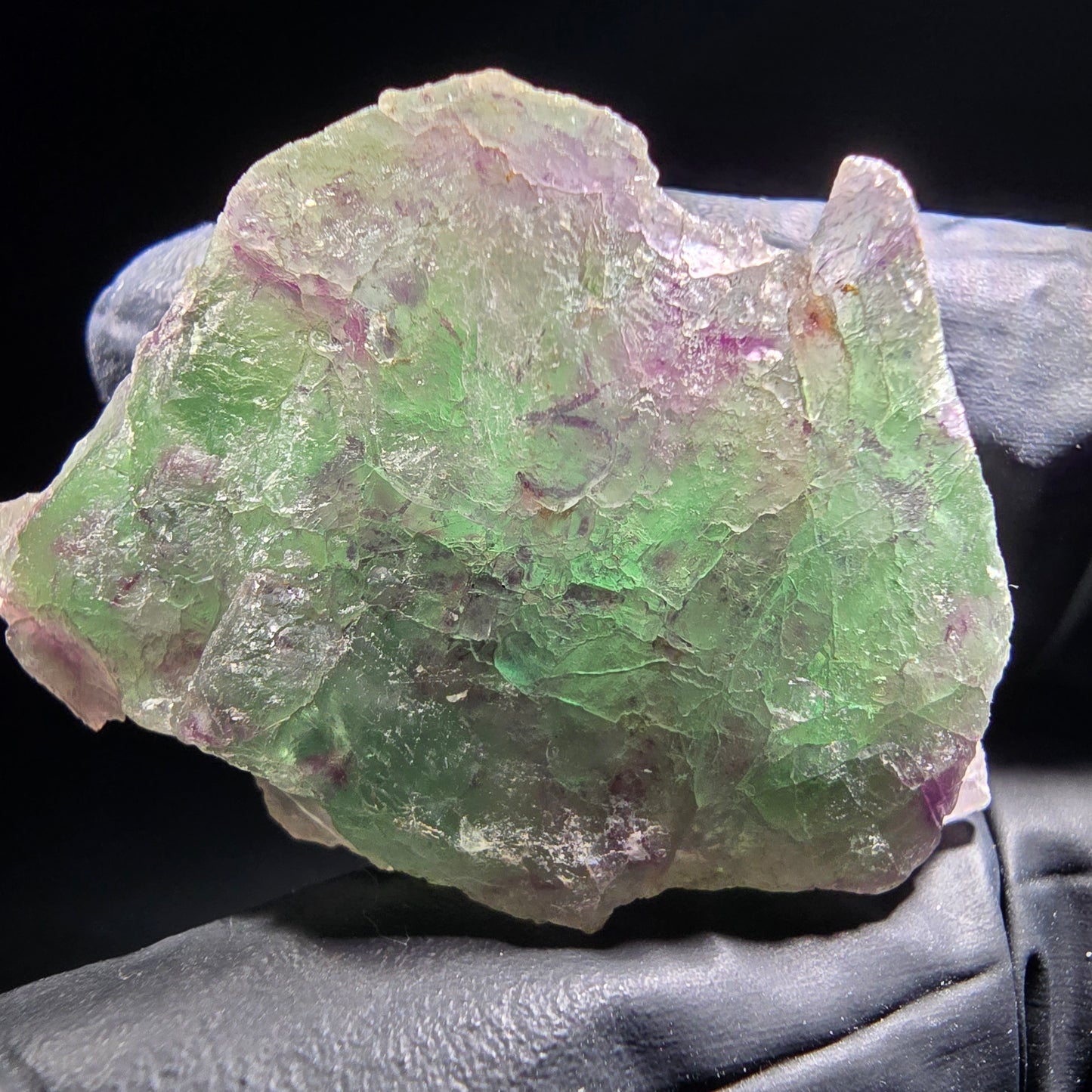 Phantom Fluorite Cube Tier Vert Violet Okorusu, Namibie 46*29*12mm Collection