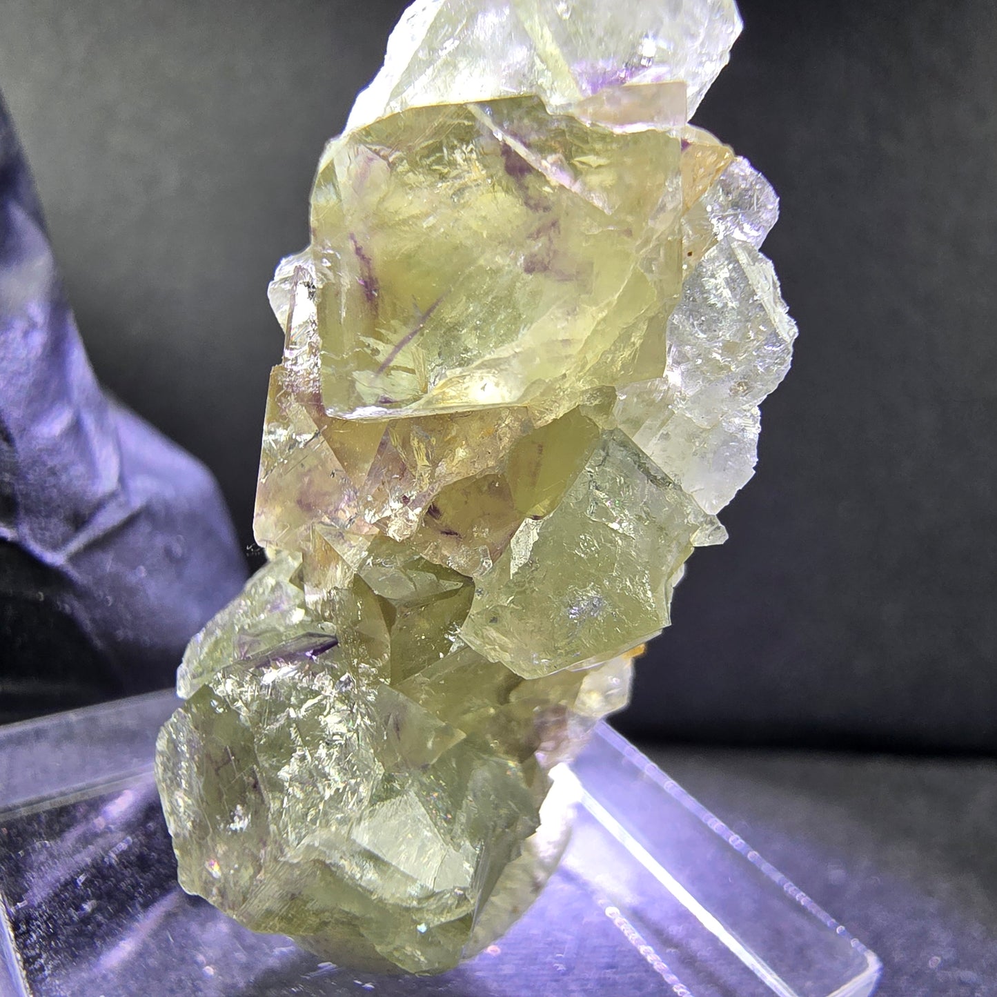 Seltene Phantom Fluorit XX Würfel Stufe grün lila 35*21*14mm Okorusu, Namibia