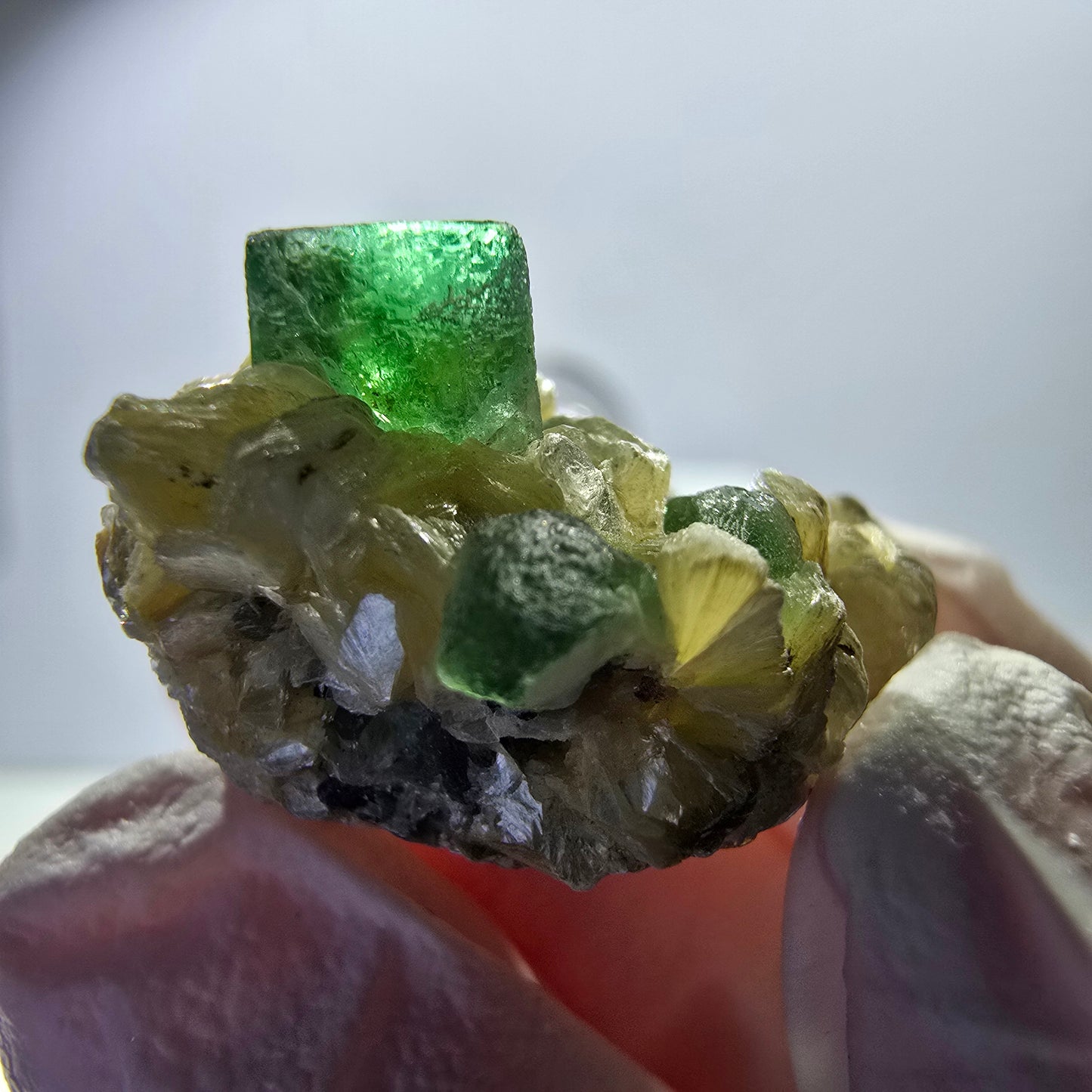 Lot de 7 fluorites fantômes, tourmalines scholl, muscovites, Erongo, Namibie, 24-14 mm