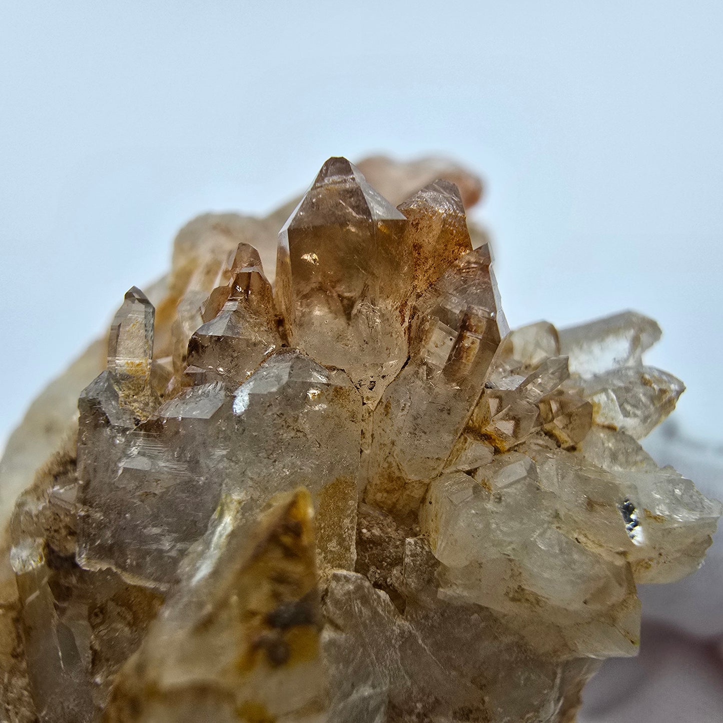 Enhydro Phantom Rauchquarz Zepter auf Matrix Goboboseb, Namibia 67*60*37mm