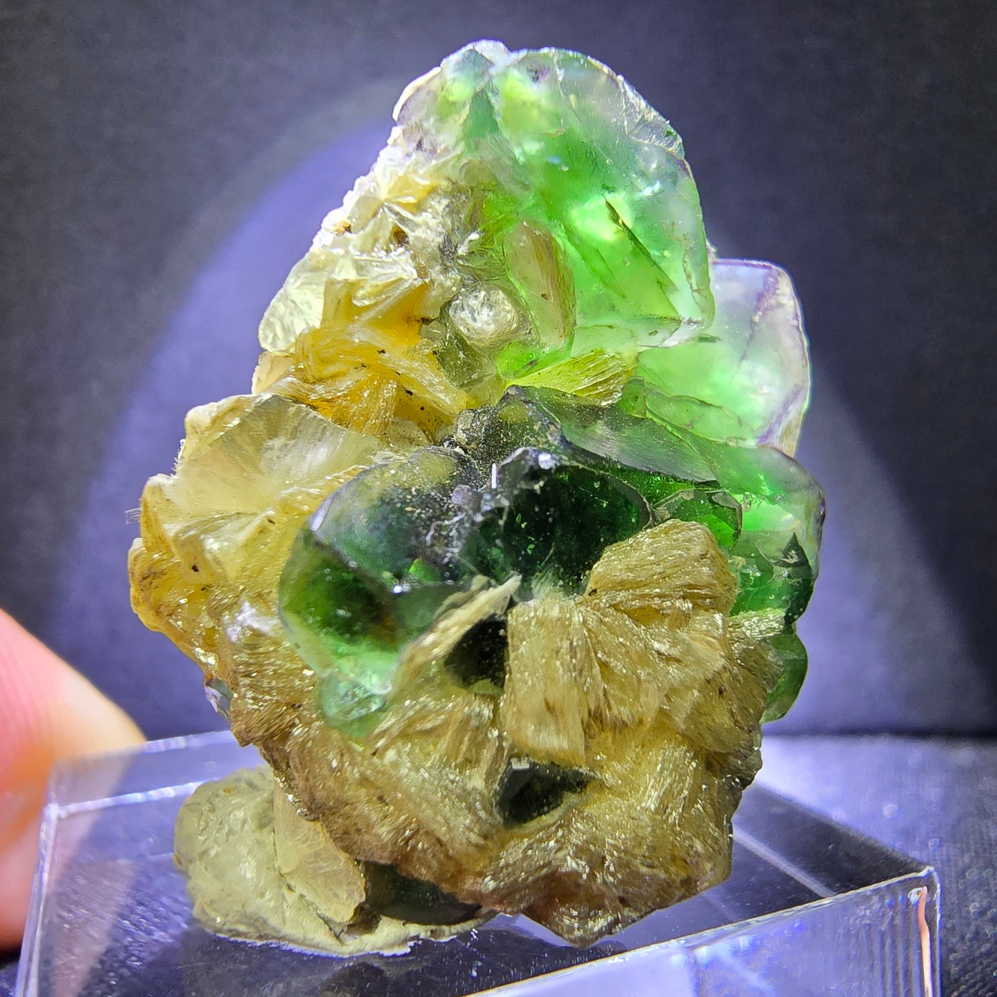 Klare Fluorit mit Muskovit grün 27*23*19mm Erongo, Namibia Mineraliensammlung