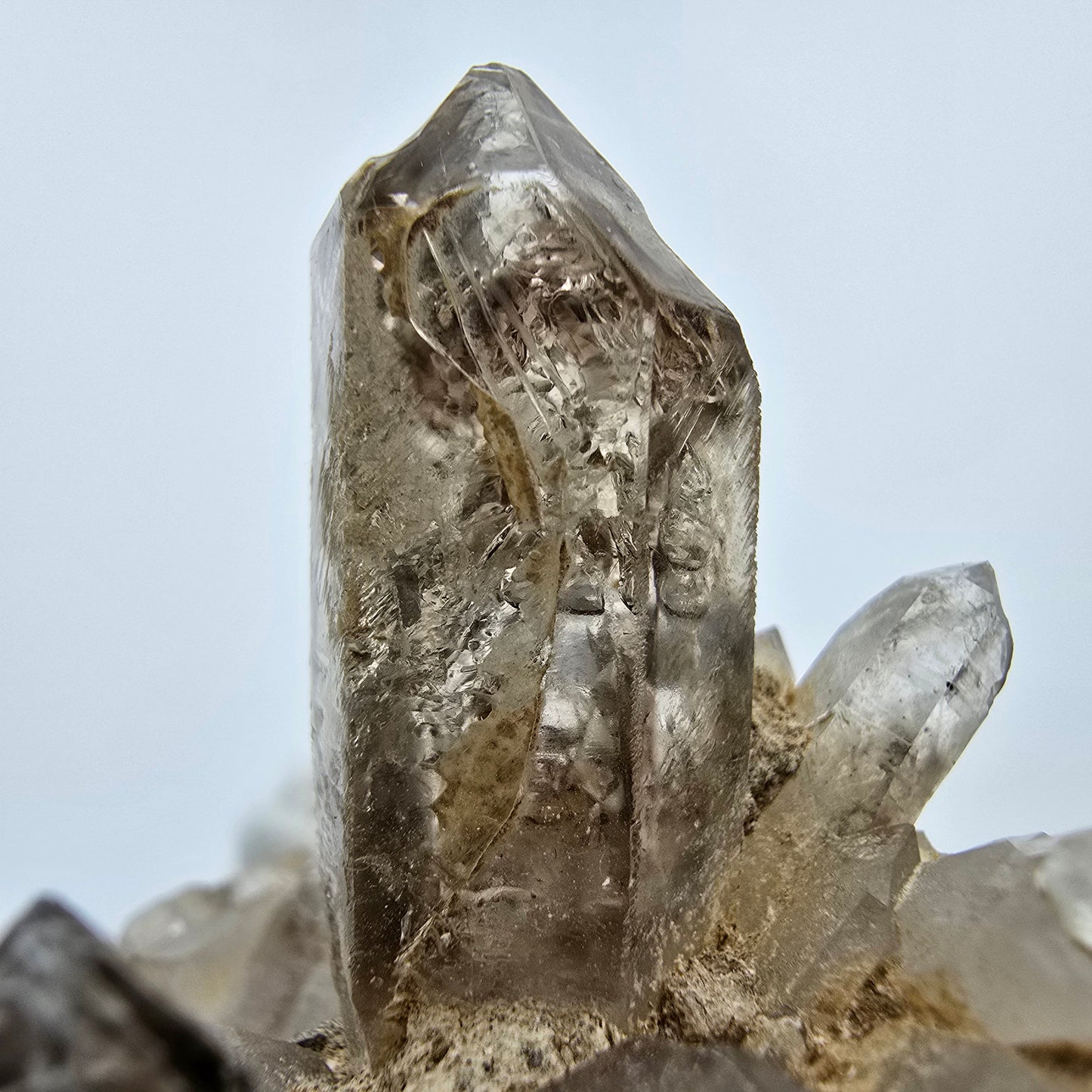 Phantom Rauchquarz Zepter auf Matrix Goboboseb, Namibia 57*51*47mm Sammlung