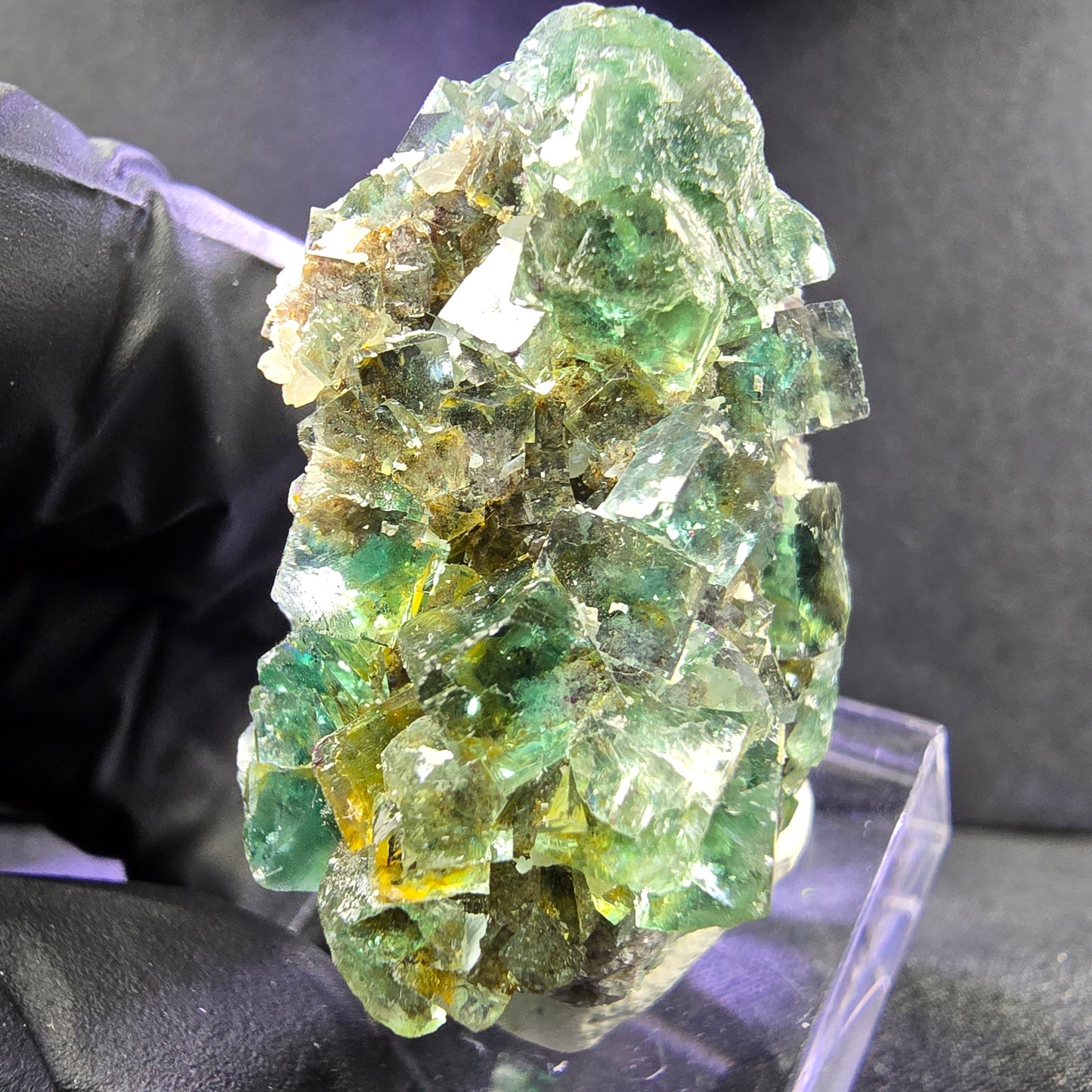 Seltene klare Fluorit XX Würfel Stufe mit Einschlüssen 37*28*20mm aus Okorusu, Namibia