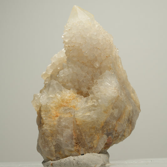 Seltene Kaktus Quarz, Spirit Quarz Stufe Boekenhouthoek, Südafrika 58*53*39mm #14001