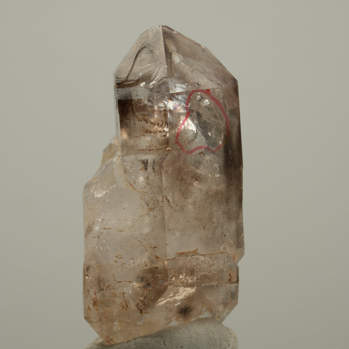 Enhydro Phantom Rauchquarz Skelett Doppelender, 1x Blase Goboboseb, Namibia 45*22*18mm #14023
