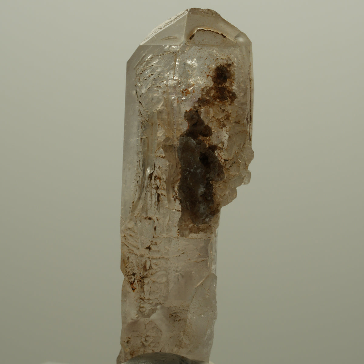 Skelett Fenster Phantom Rauchquarz Zepter Spitze Goboboseb, Namibia 57*26*18mm #14053