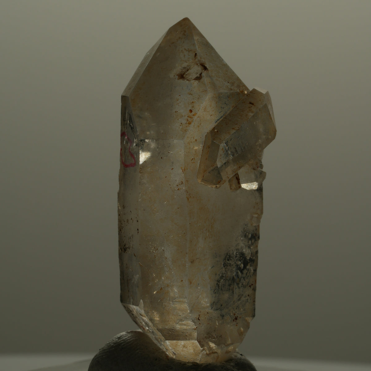 Enhydro Phantom Rauchquarz Skelett Doppelender, 1x Blase Goboboseb, Namibia 49*21*15mm #14054