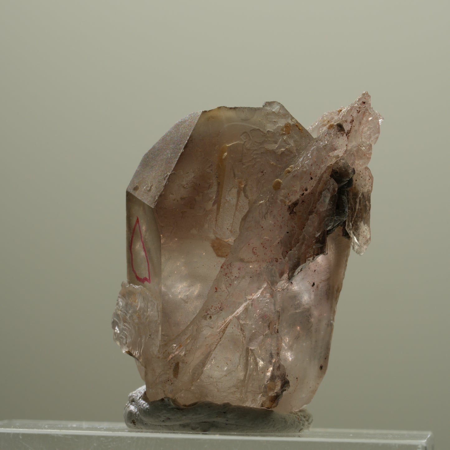 Enhydro Skelett Fenster Phantom Rauchquarz Zepter, 1x Blase Goboboseb, Namibia 37*26*22mm #14057