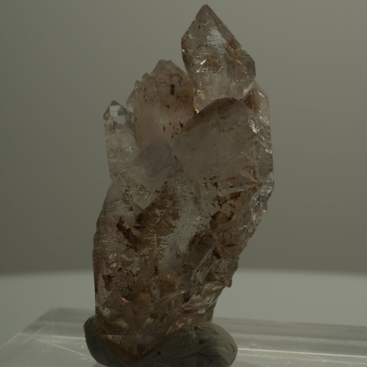 Skelett Phantom Rauchquarz Fenster Zepter Doppelender Goboboseb, Namibia 46*23*22mm #14084