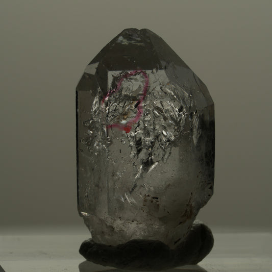 Enhydro Phantom Rauchquarz Skelett Doppelender, 1x Blase Goboboseb, Namibia 22*12*11mm #14167