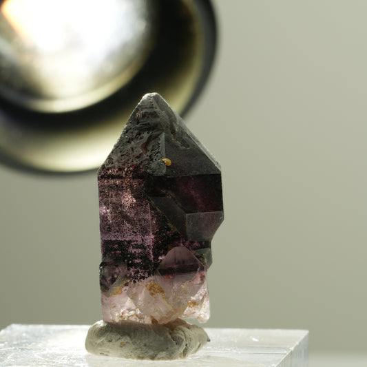 Seltene Phantom Amethyst Skelett Zepter Spitze Brandberg, Namibia 24*13*12mm #14181