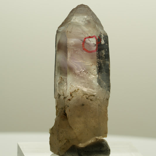Enhydro Skelett Phantom Amethyst Spitze, 1x Blase Goboboseb, Namibia 37*15*10mm #14255