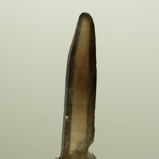 Seltene Phantom Skelett Rauchquarz Spitze Erongo, Namibia 39*08*06mm #14274