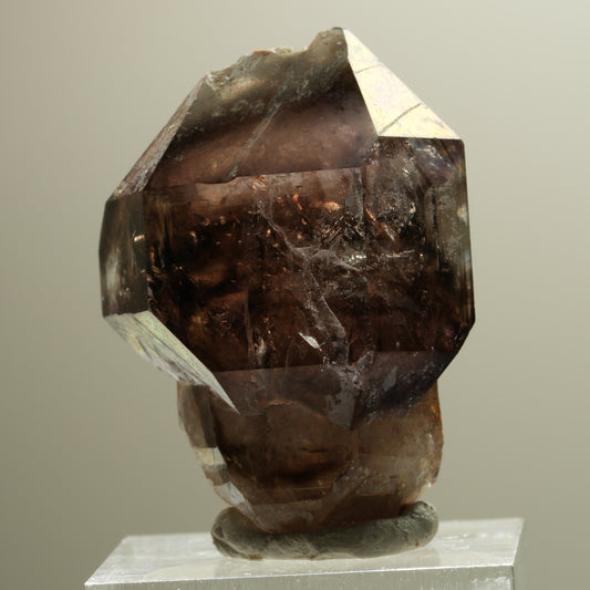 Skelett Phantom Rauchquarz Fenster Zepter Doppelender Spitze Goboboseb, Namibia 37*28*24mm #14281
