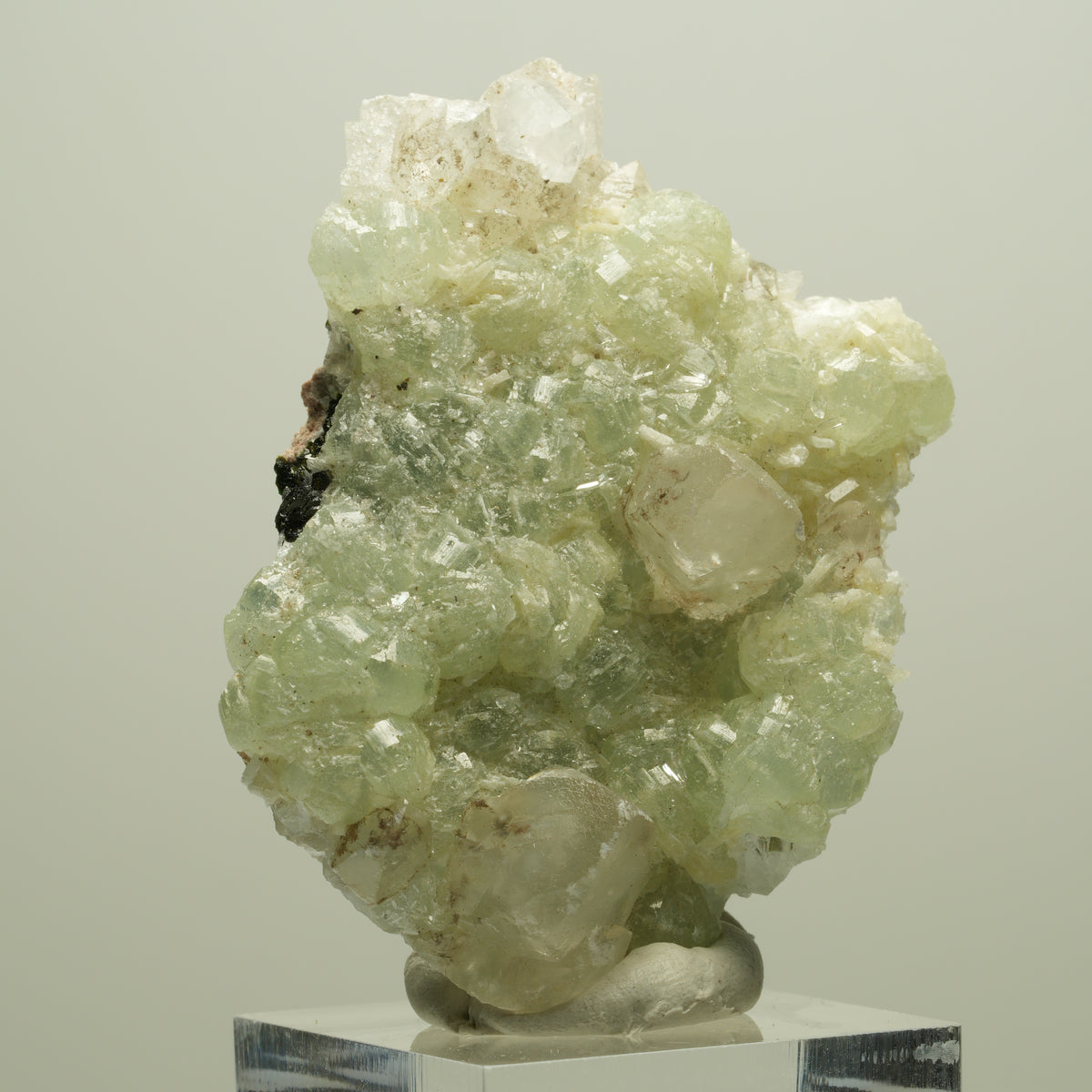 Seltene Prehnit, Epidot, Calcit Stufe Streep Mine Goboboseb Namibia 55*38*22mm #14648
