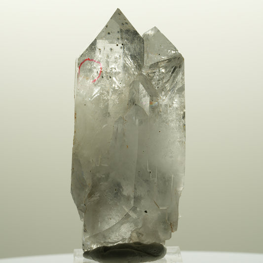 Enhydro Lemurian Phantom Rauchquarz, Hämatit, 1x Blase Streep Mine Namibia 68*33*25mm #14748