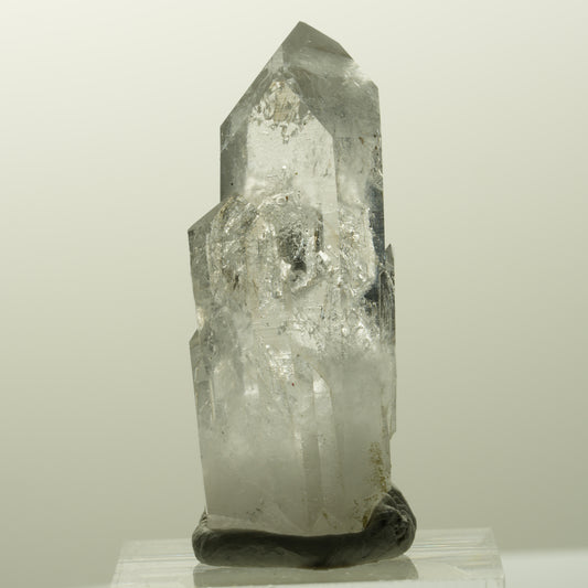 Seltene Phantom Skelett Rauchquarz Spitze Streep Mine, Goboboseb, Namibia 42*17*15mm #14849