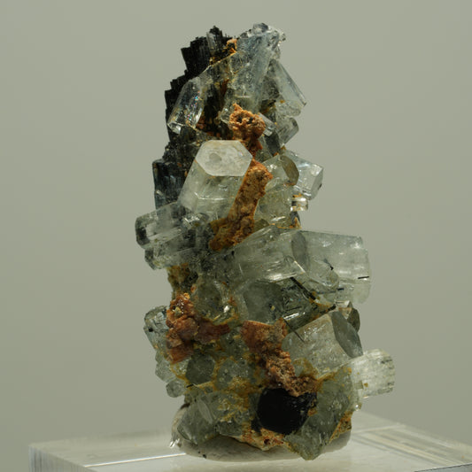 Seltene Aquamarin XX auf Schörl Turmalin Stufe Erongo, Namibia 36*20*16mm #14886