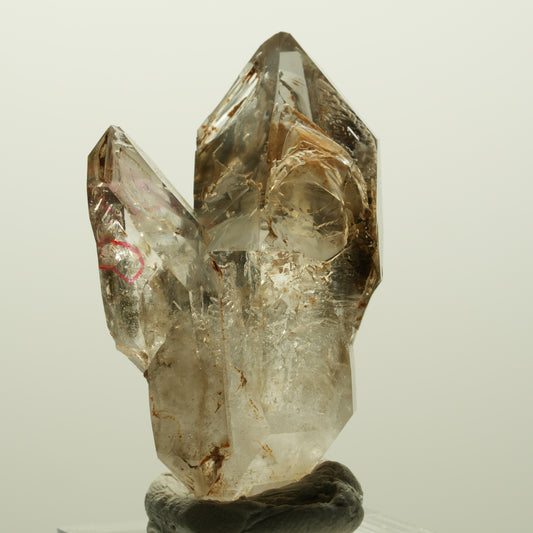 Enhydro Skelett Fenster Phantom Rauchquarz Zepter, 2x Blase Goboboseb, Namibia 48*30*19mm #14979