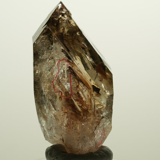 Enhydro Skelett Fenster Phantom Rauchquarz Zepter, 2x Blase Goboboseb, Namibia 56*31*27mm #14983