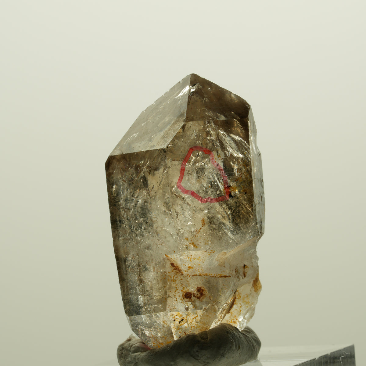 Enhydro Phantom Rauchquarz Skelett Doppelender, 2x Blase Goboboseb, Namibia 34*18*17mm #14987