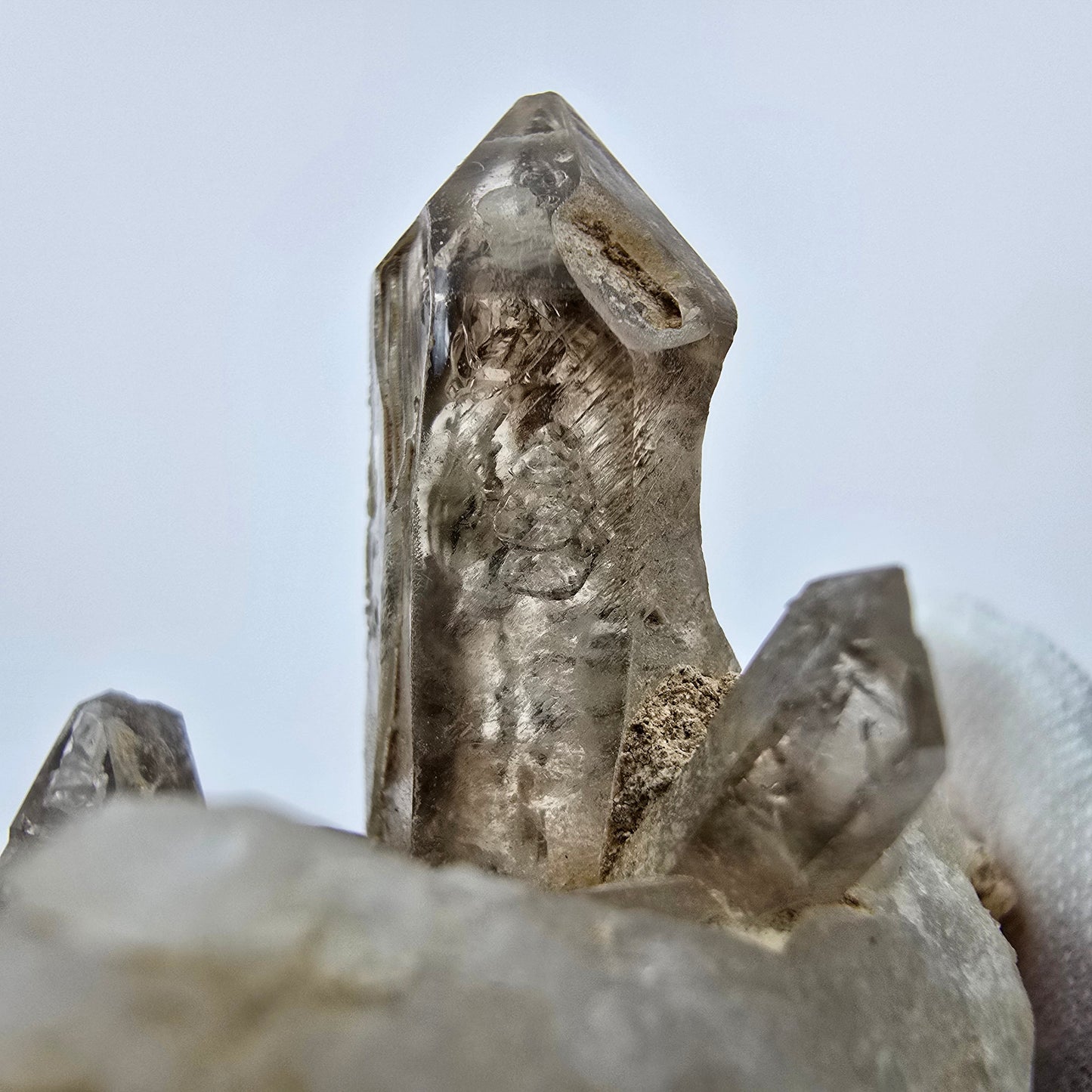 Phantom Rauchquarz Zepter auf Matrix Goboboseb, Namibia 57*51*47mm Sammlung