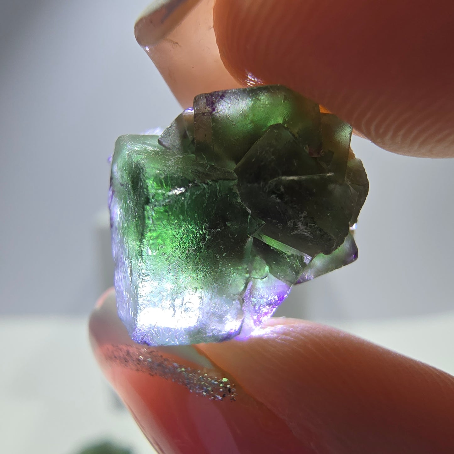 Lot de 16 Fluorite Fantôme, Hyalite Tourmaline Schörl Moscovite Steps Erongo, Namibie
