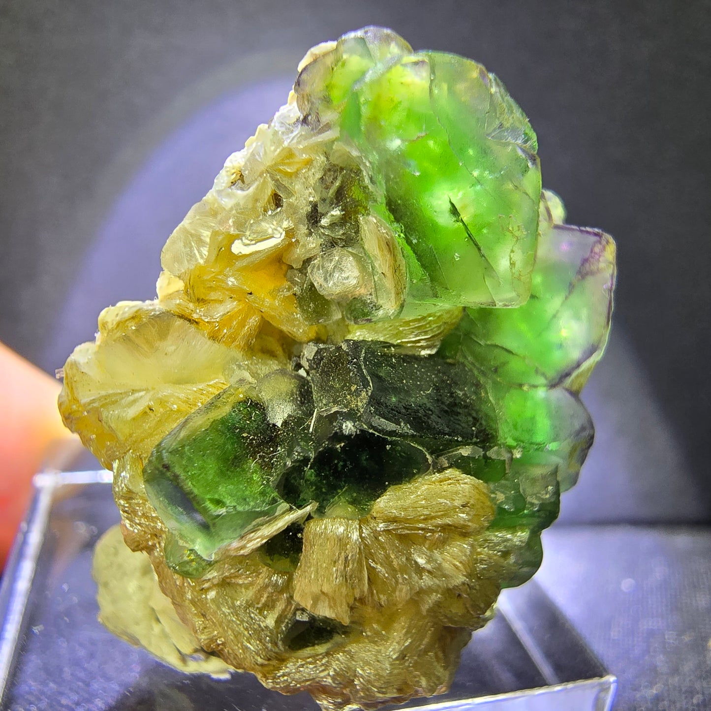 Klare Fluorit mit Muskovit grün 27*23*19mm Erongo, Namibia Mineraliensammlung