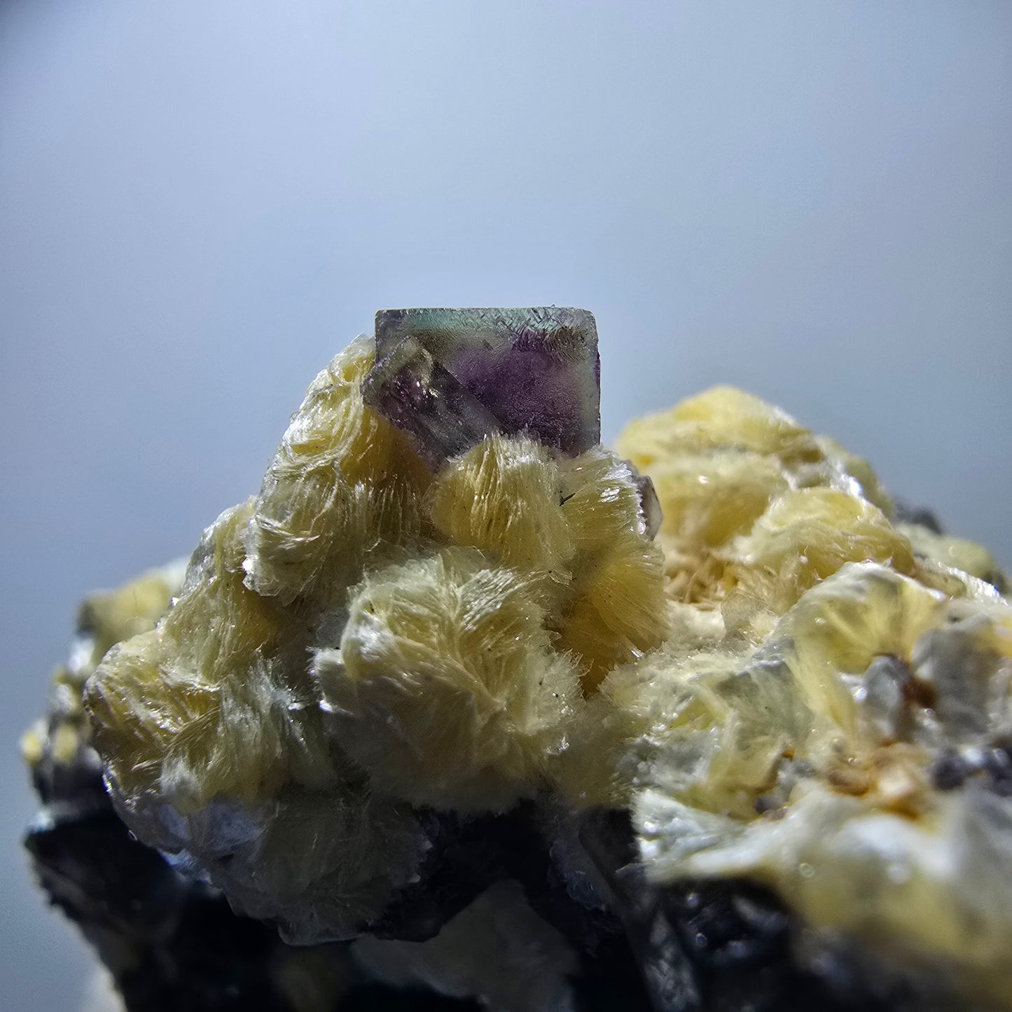 Cubes de fluorite fantôme colorés, spécimen de muscovite, Erongo, Namibie, 71 x 56 x 35 mm