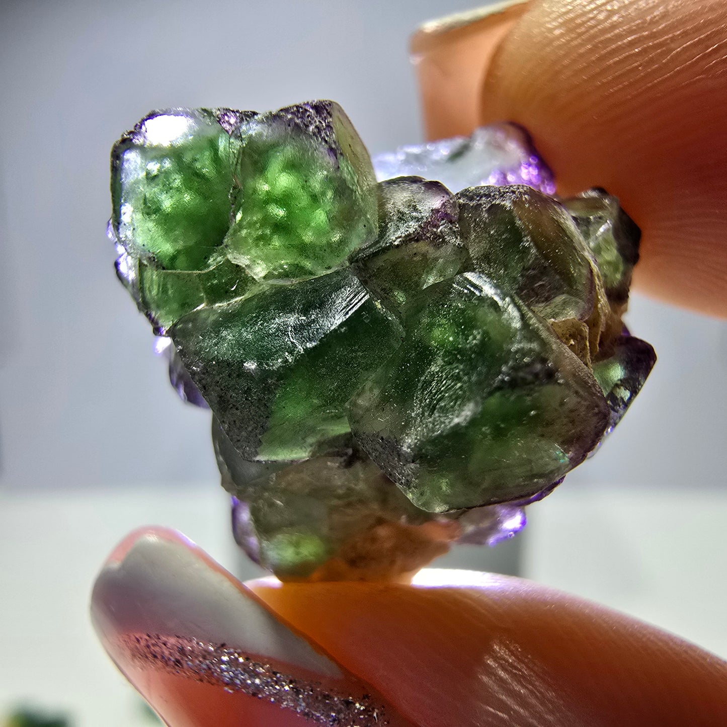 Lot de 16 fluorites fantômes, hyalites, tourmalines Schörl, muscovites, marches d'Erongo, Namibie