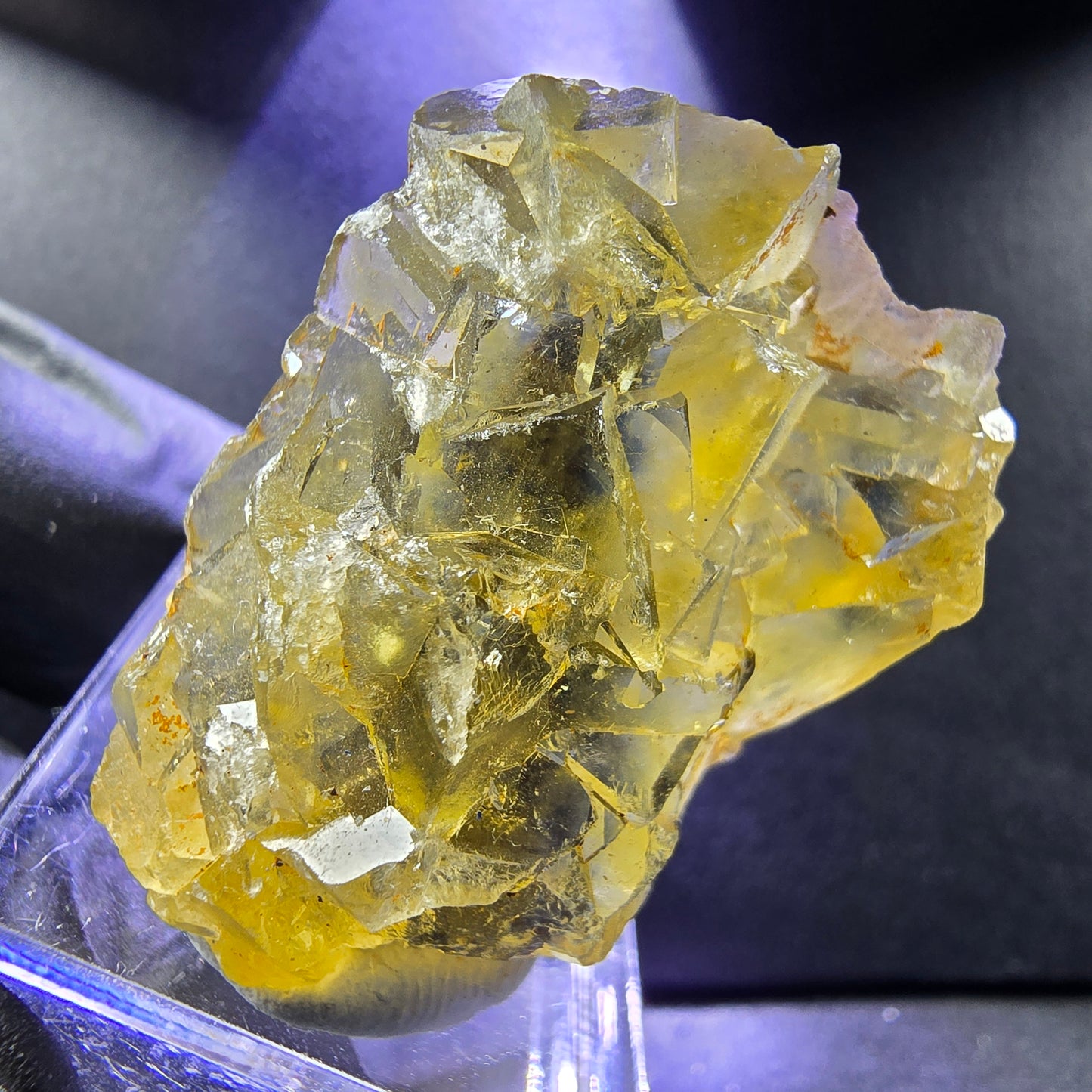 Seltene Honey Pocket Phantom Fluorit XX Würfel Stufe 35*26*14mm Okorusu, Namibia
