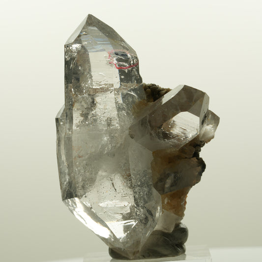 Enhydro Phantom Rauchquarz Skelett Doppelender, 1x Blase Goboboseb, Namibia 58*38*33mm #15046