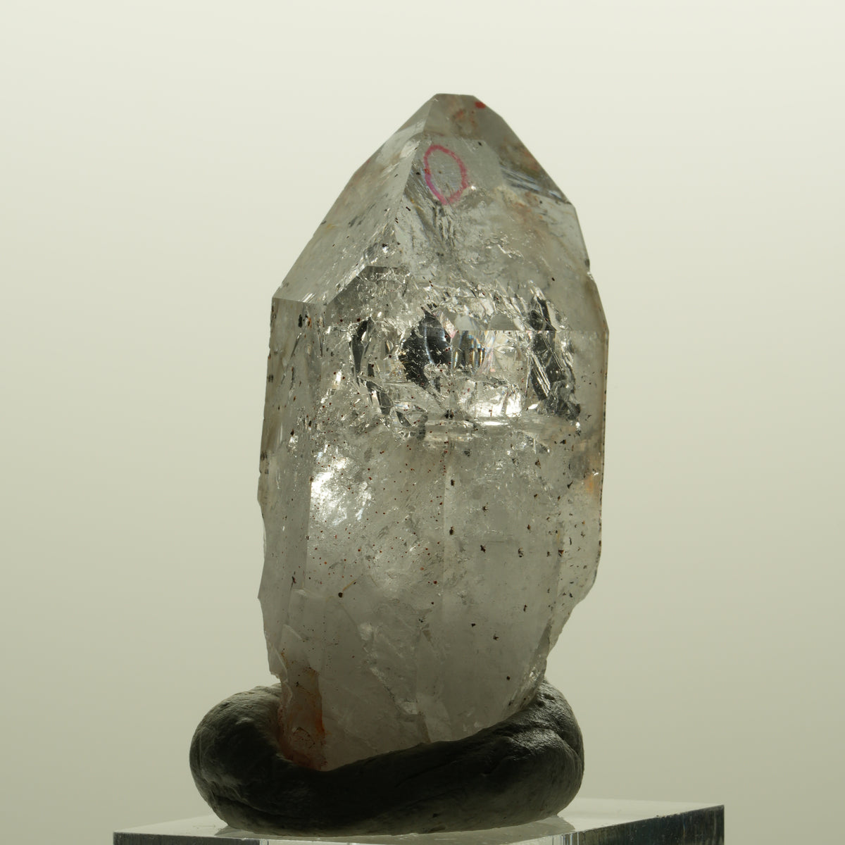 Enhydro Skelett Phantom Amethyst mit Hämatit, 1x Blase Streep Mine, Namibia 51*30*17mm #15134