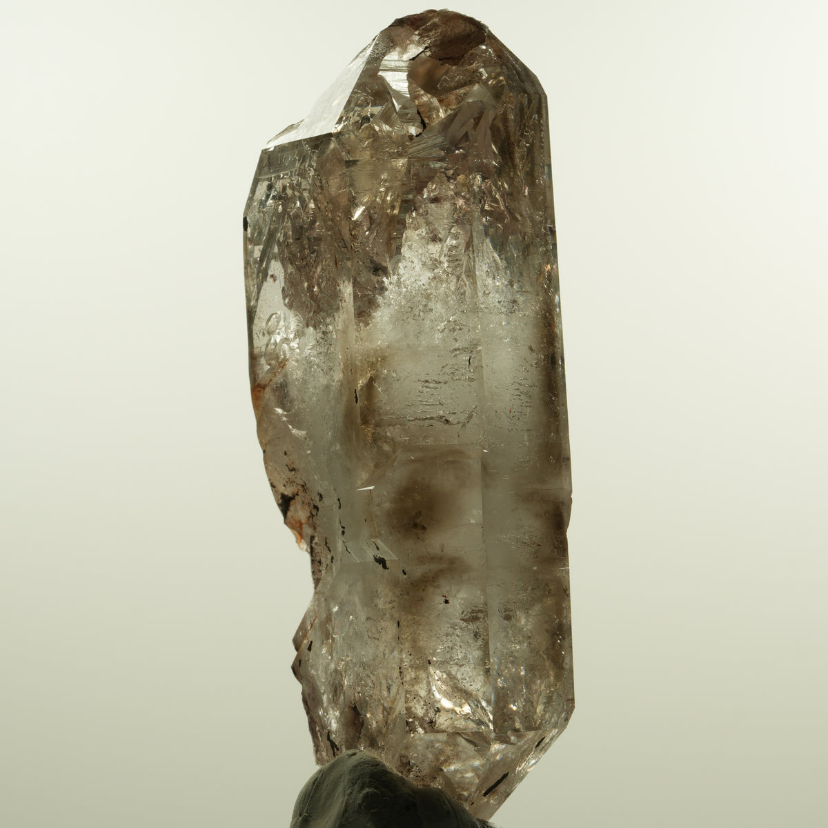 Enhydro Phantom Rauchquarz Skelett Doppelender, 1x Blase Goboboseb, Namibia 105*53*30mm #15160