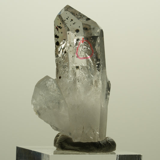 Enhydro Harlekin Lemurian Phantom Rauchquarz, 1x Blase Streep Mine, Namibia 45*26*15mm #15242