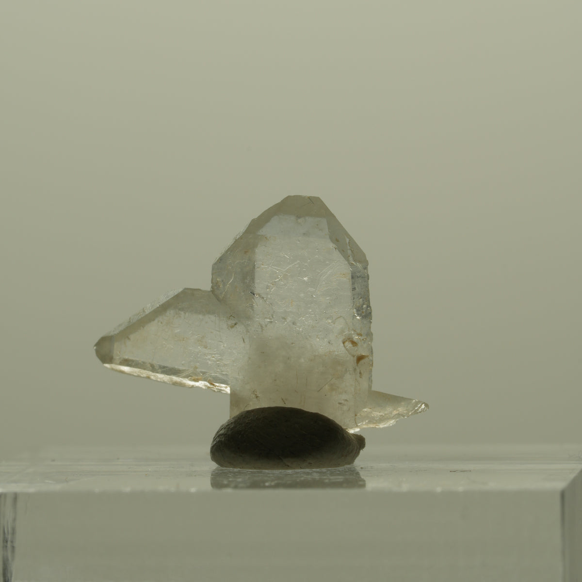 Japan Law Twin Kristall, Japaner-Zwilling Quarz Tubussis Area, Erongo, Namibia 17*14*4mm #15264