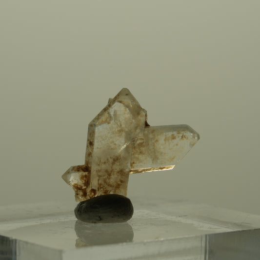 Japan Law Twin Kristall, Japaner-Zwilling Quarz Tubussis Area, Erongo, Namibia 16*15*3mm #15270