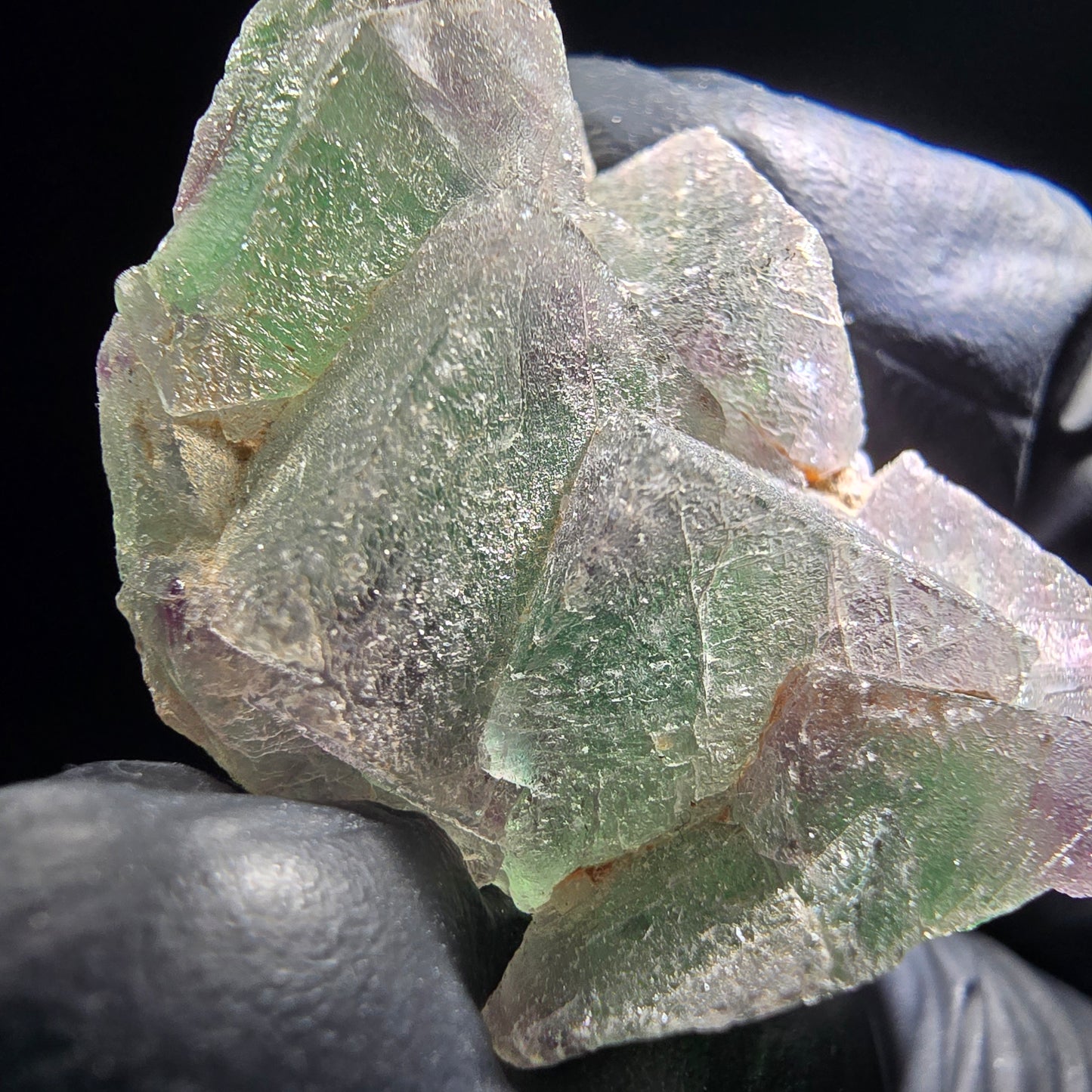 Phantom Fluorite Cube Tier Vert Violet Okorusu, Namibie 46*29*12mm Collection