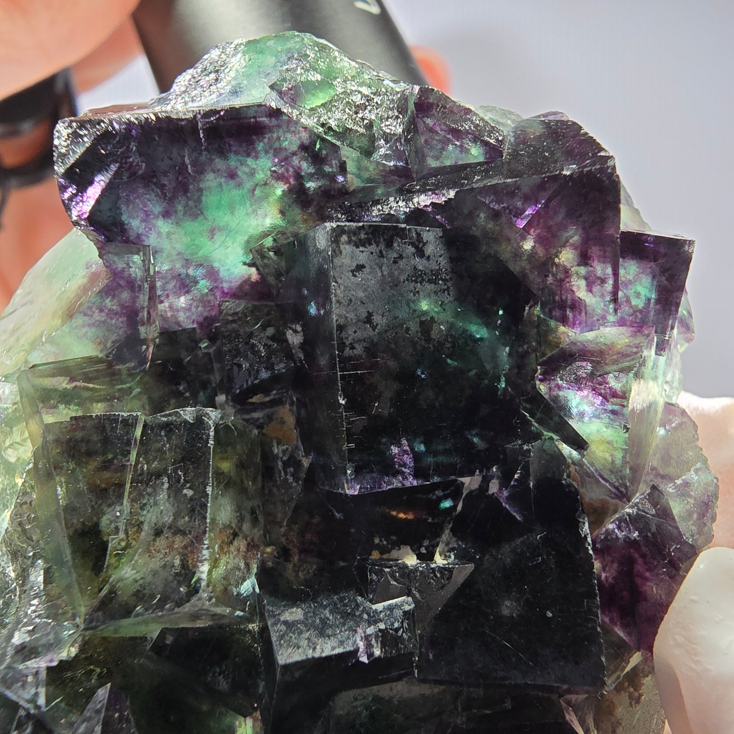 Rare spécimen de cube de fluorite fantôme, vert-violet, Okorusu, Namibie, 58 x 48 x 19 mm