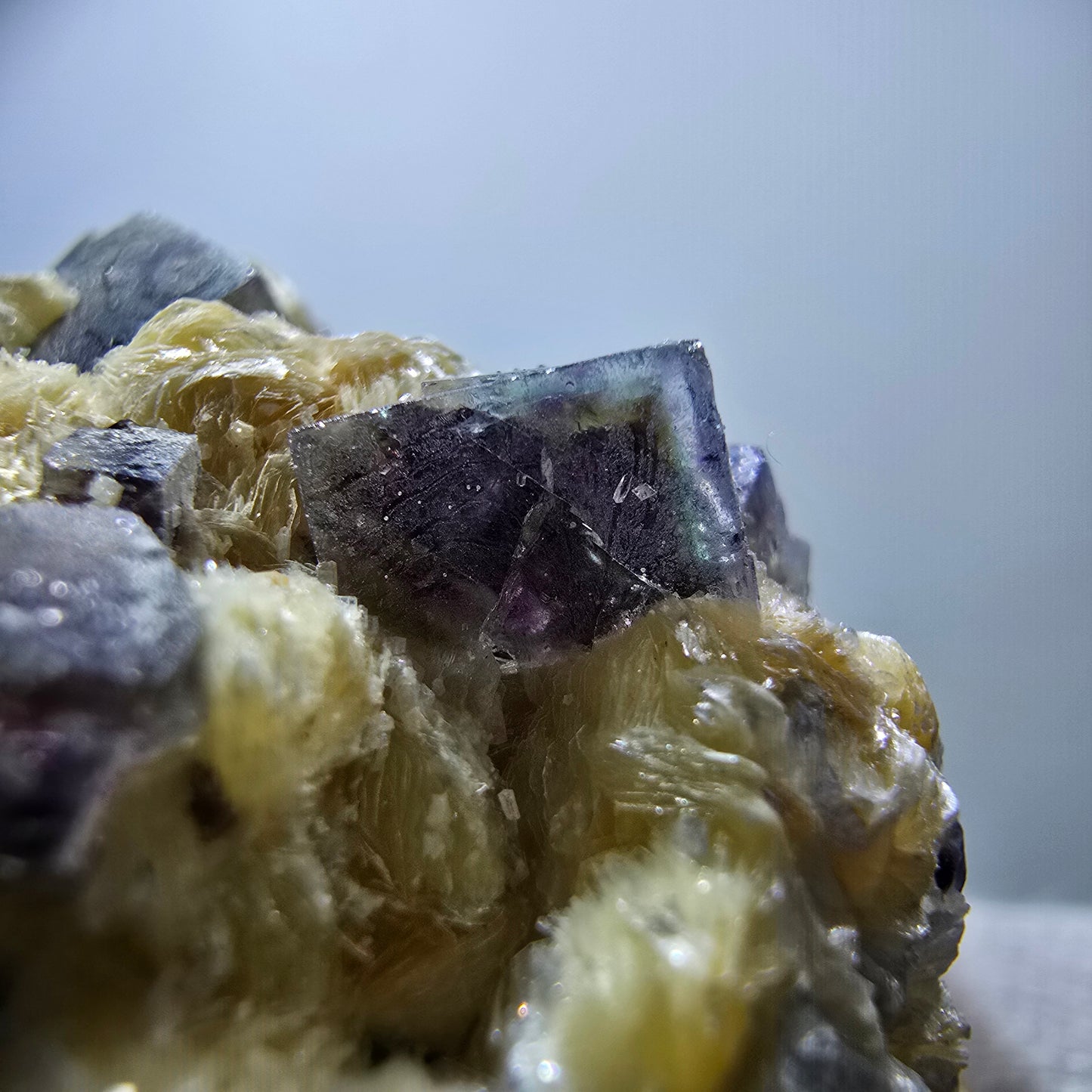 Cubes de fluorite fantôme colorés, spécimen de muscovite, Erongo, Namibie, 71 x 56 x 35 mm