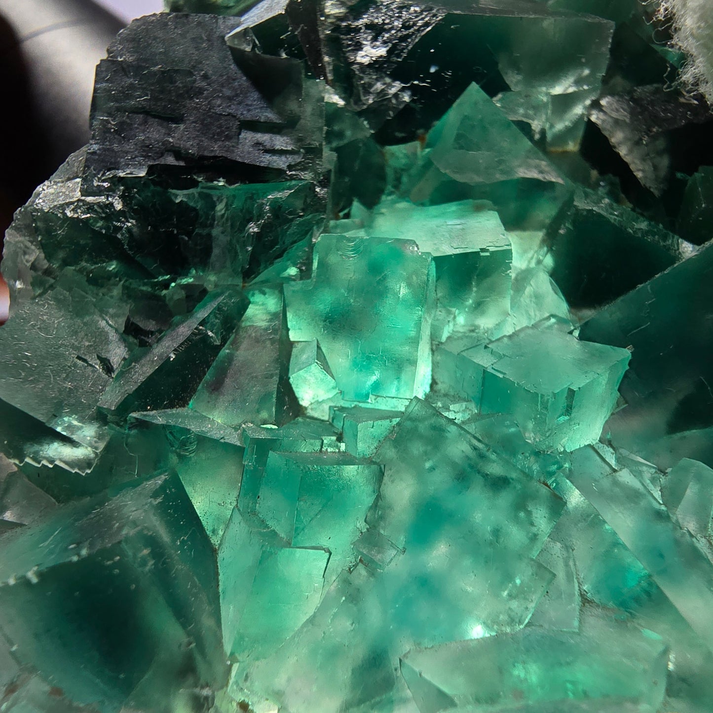 Cube de fluorite fantôme parqueté vert violet Okorusu Namibie 60*54*15mm