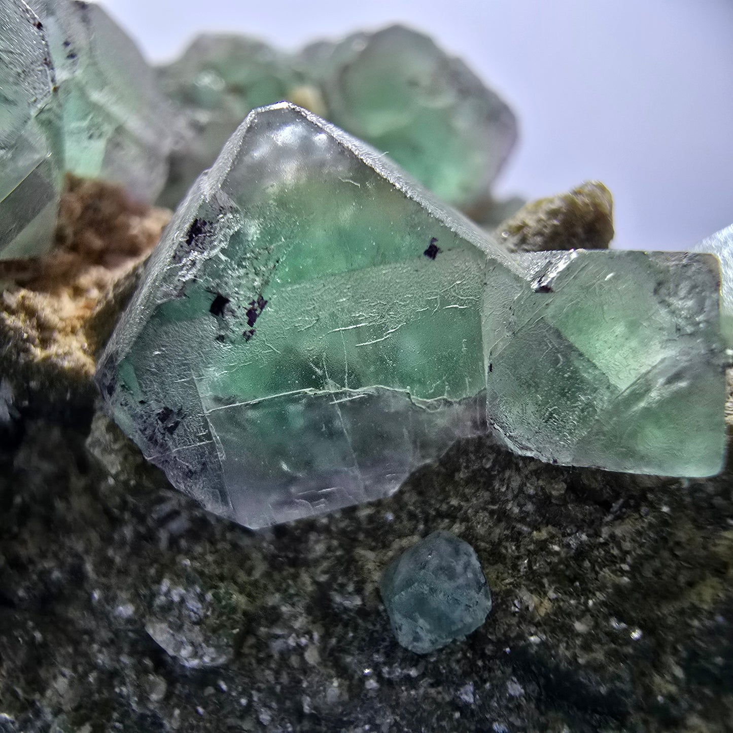 Fluorite fantôme zonale Schörl Tourmaline Muscovite Hyalite Erongo, Namibie 83*45*47mm