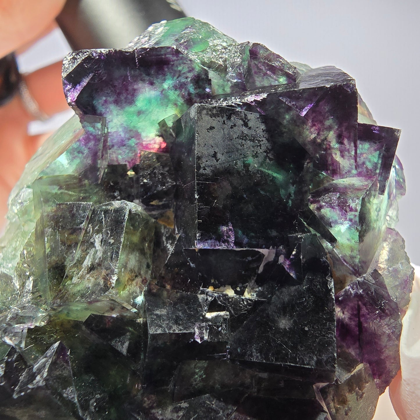 Rare spécimen de cube de fluorite fantôme, vert-violet, Okorusu, Namibie, 58 x 48 x 19 mm
