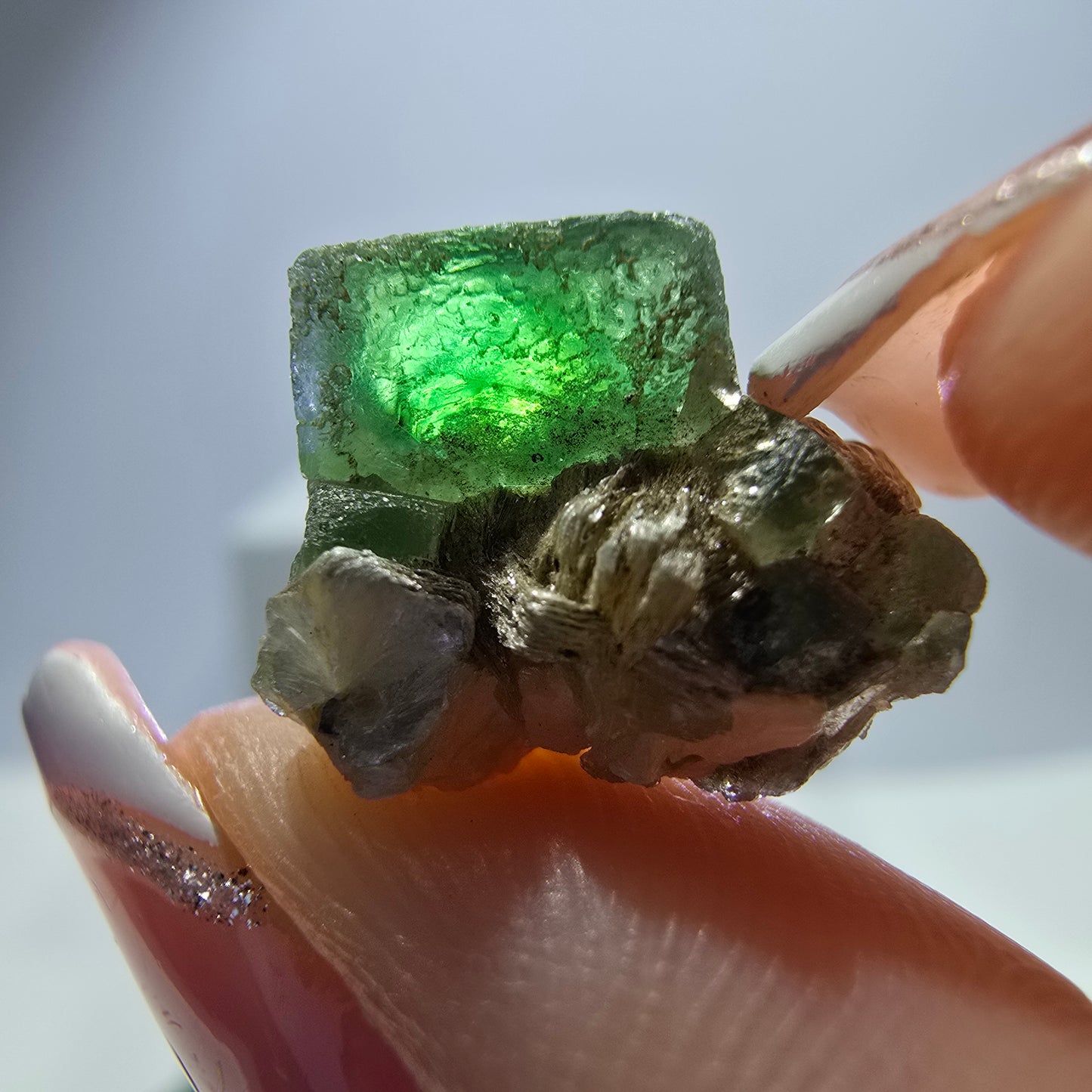 Lot de 16 Fluorite Fantôme, Hyalite Tourmaline Schörl Moscovite Steps Erongo, Namibie