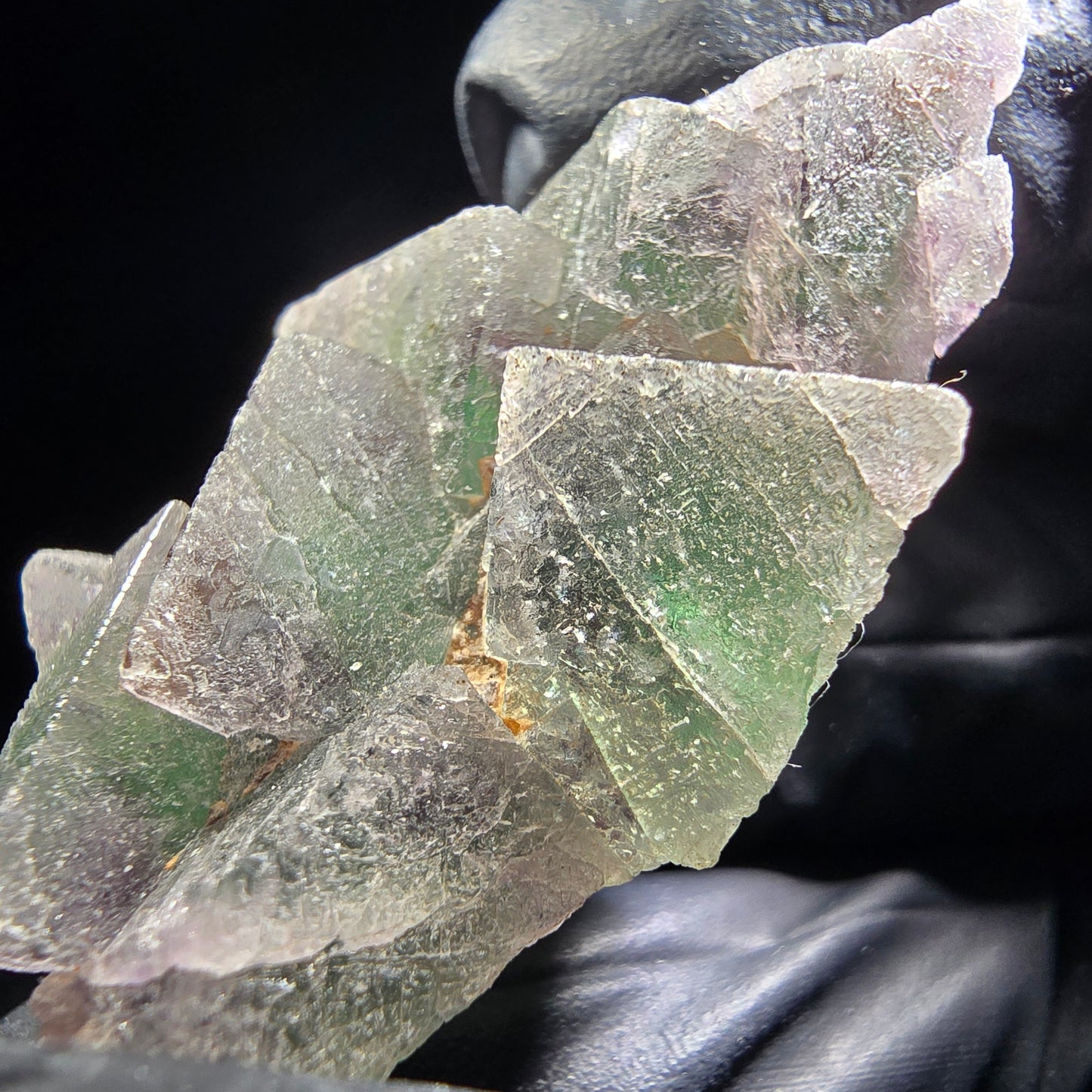 Phantom Fluorite Cube Tier Vert Violet Okorusu, Namibie 46*29*12mm Collection