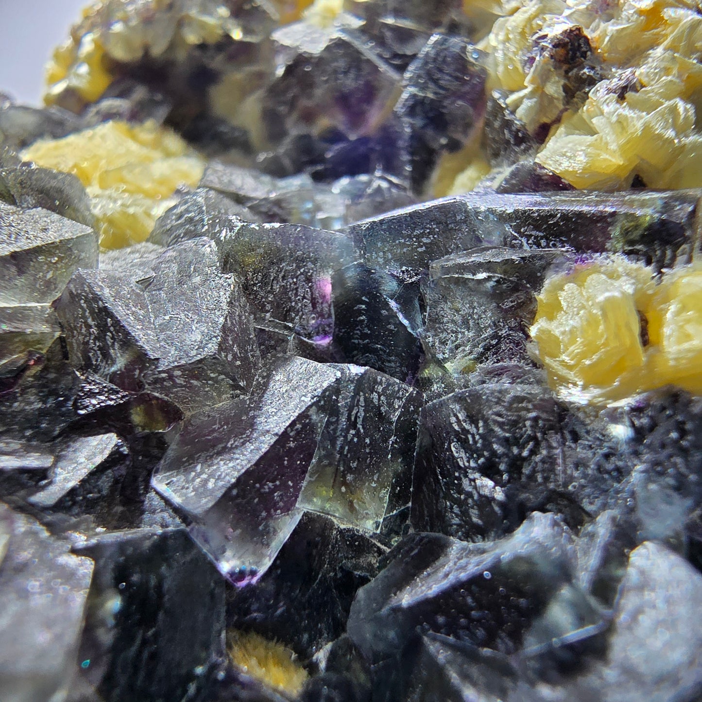 Cubes de fluorite fantôme colorés, spécimen de muscovite, Erongo, Namibie, 71 x 56 x 35 mm