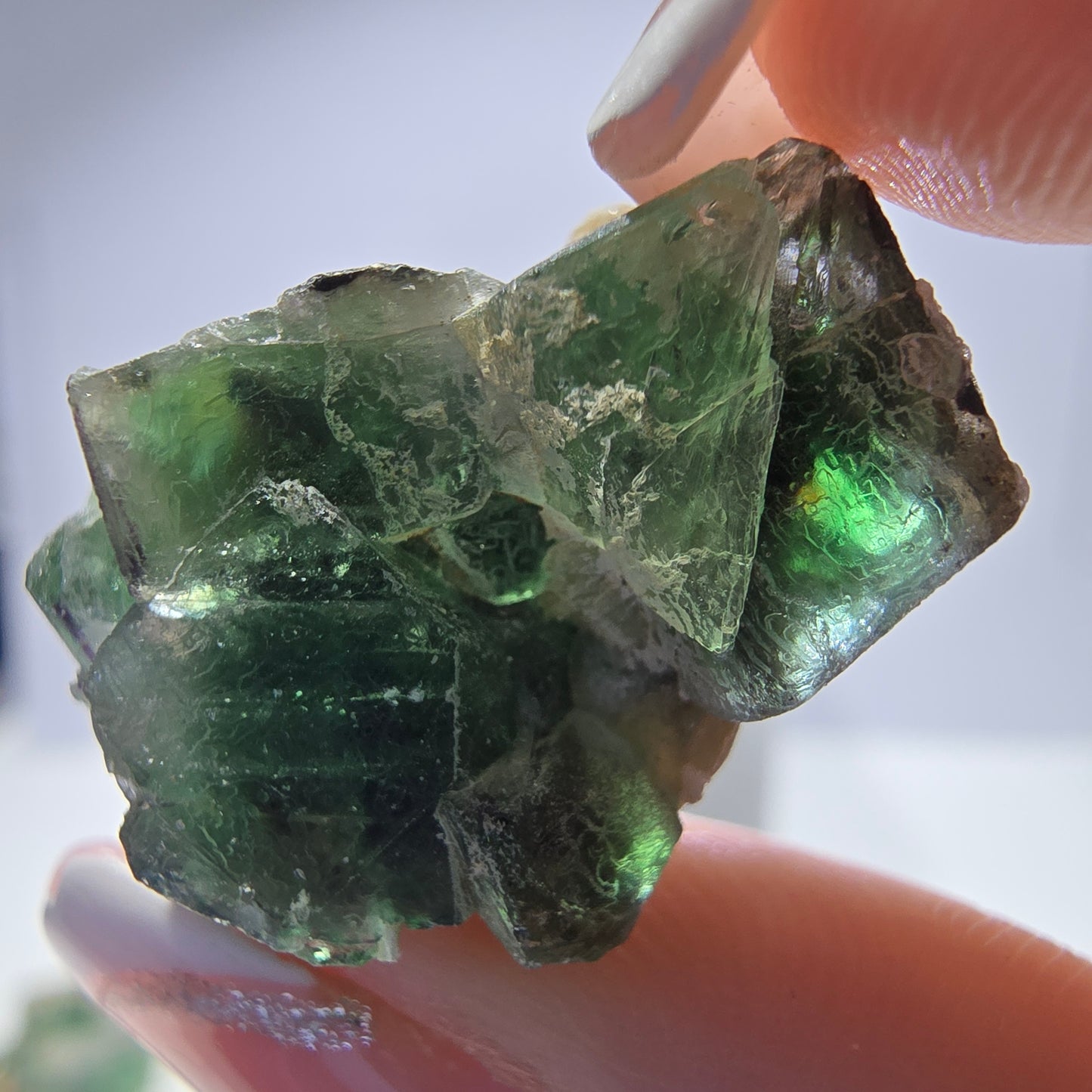 Lot de 16 tourmalines Schörl, fluorite fantôme, hyalite, stade muscovite, Erongo, Namibie