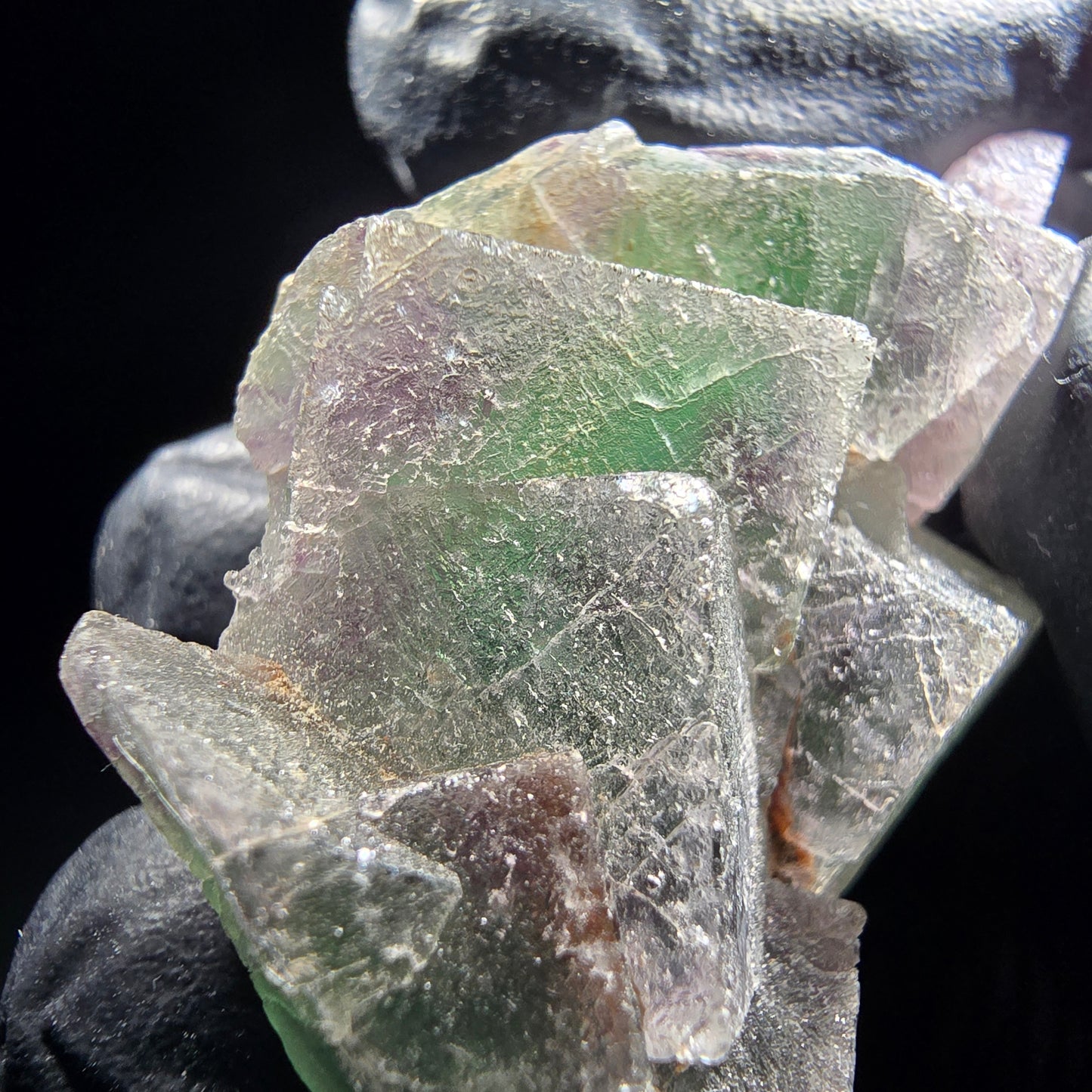 Phantom Fluorite Cube Tier Vert Violet Okorusu, Namibie 46*29*12mm Collection