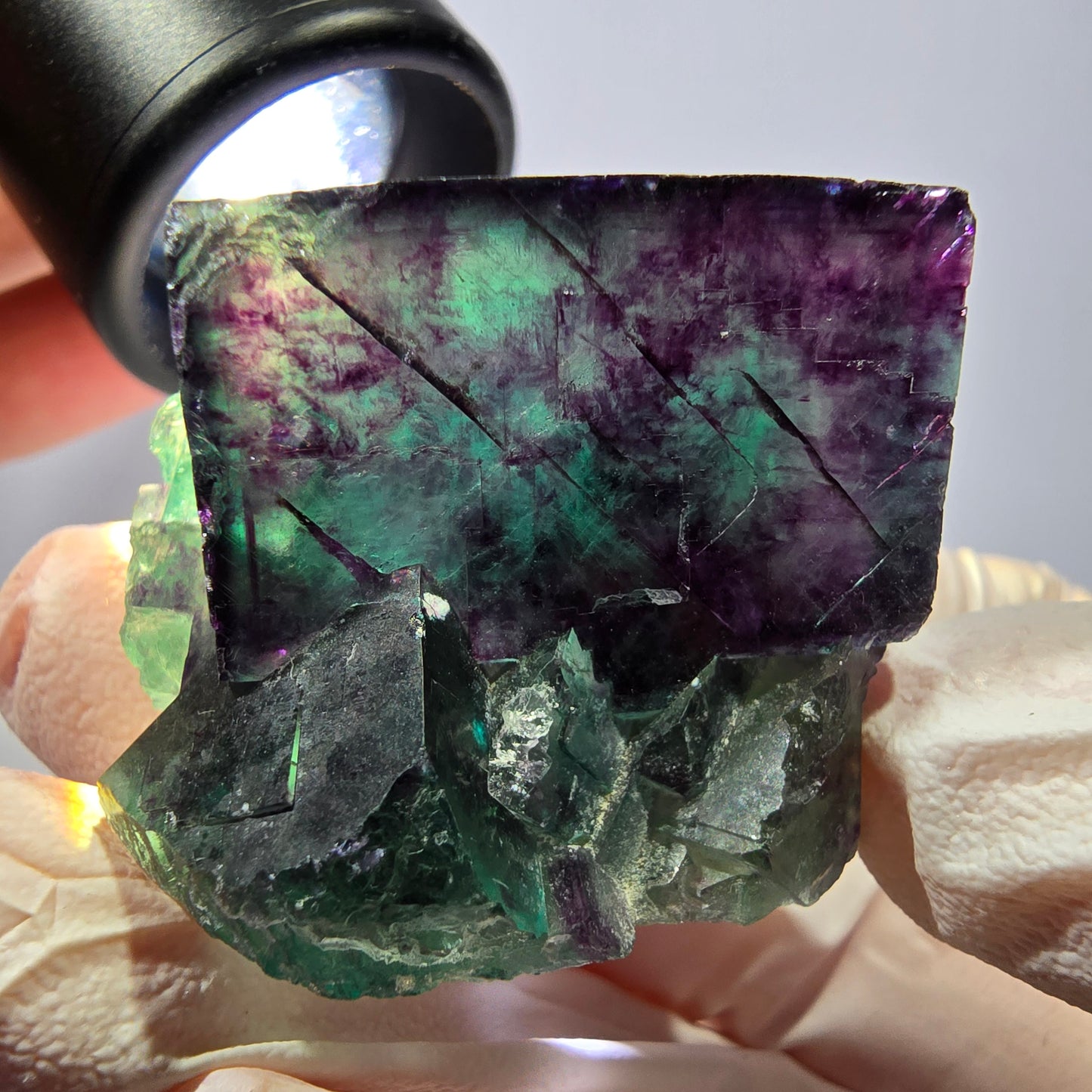 Spécimen de cube de fluorite fantôme, parqueté vert violet Okorusu, Namibie 36*31*29 mm