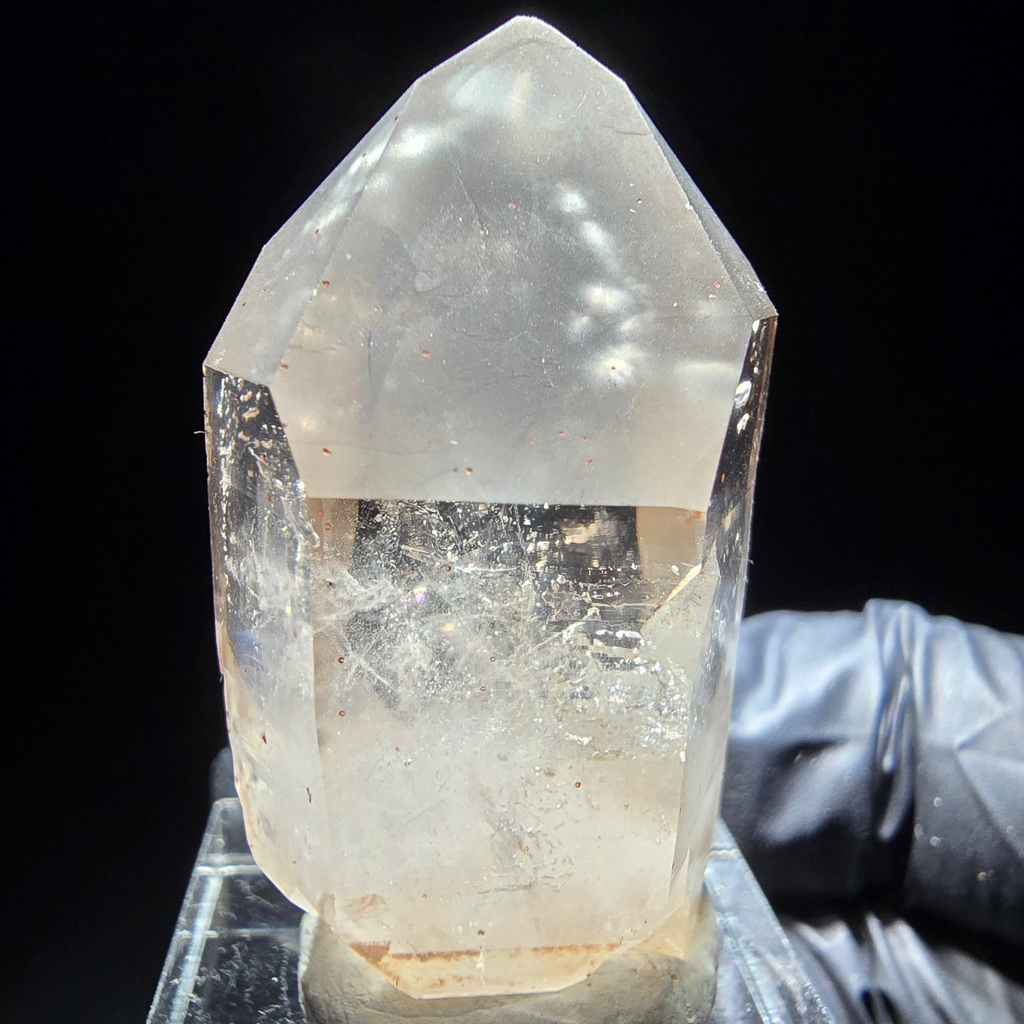 Phantom Rauchquarz Doppelender Zepter Goboboseb, Namibia 41*22*16mm Sammlung